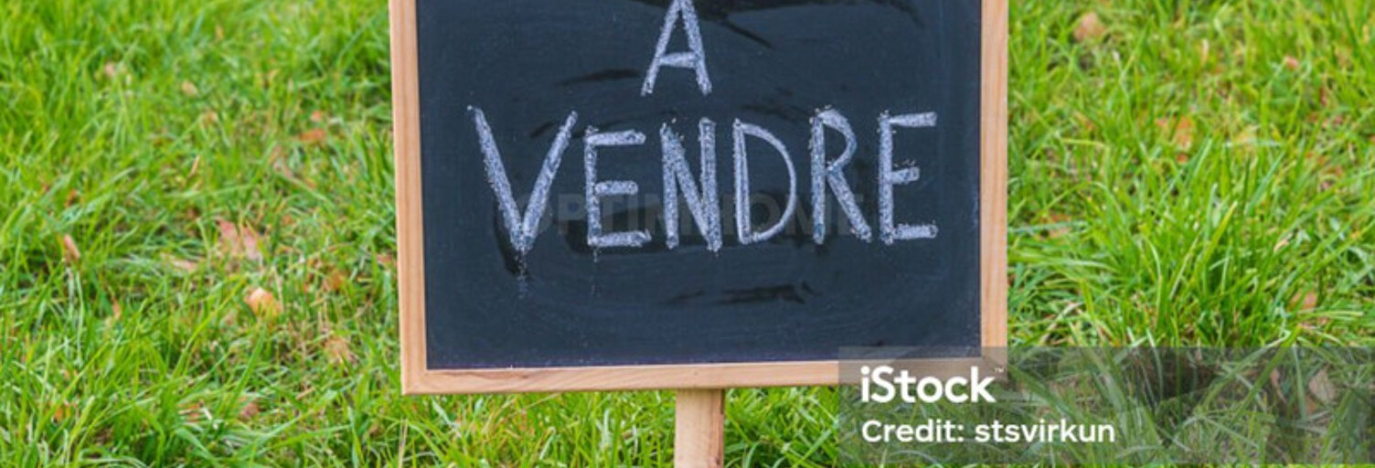 Terrain  599 m² à vendre à Allaire (56350)