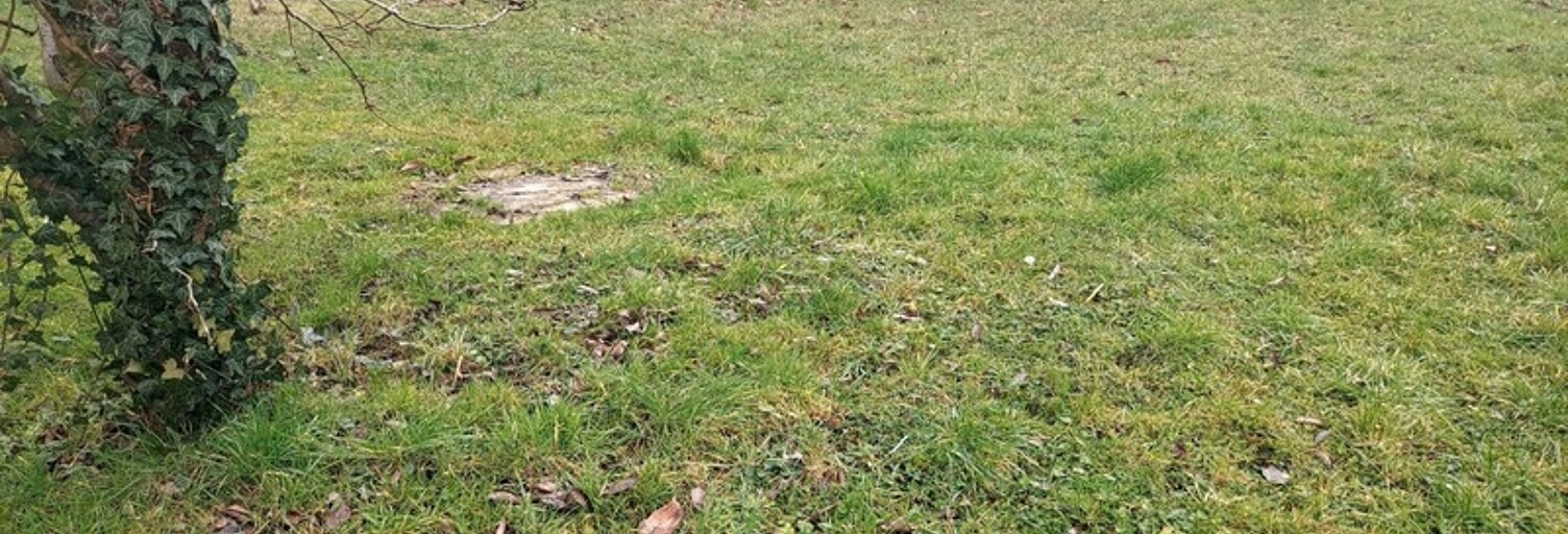 Terrain  300 m² à vendre à Massy (91300)