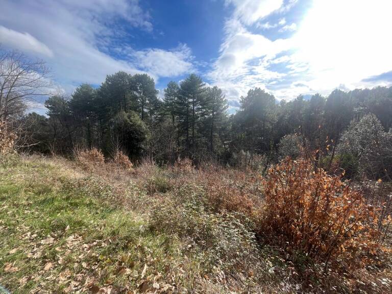 TERRAIN RIBES — photo 1
