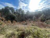 TERRAIN RIBES — photo 3