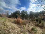 TERRAIN RIBES — photo 4
