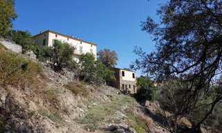 Maison 9 Pièces 230 m² à vendre à Santo-Pietro-di-Tenda (20246)