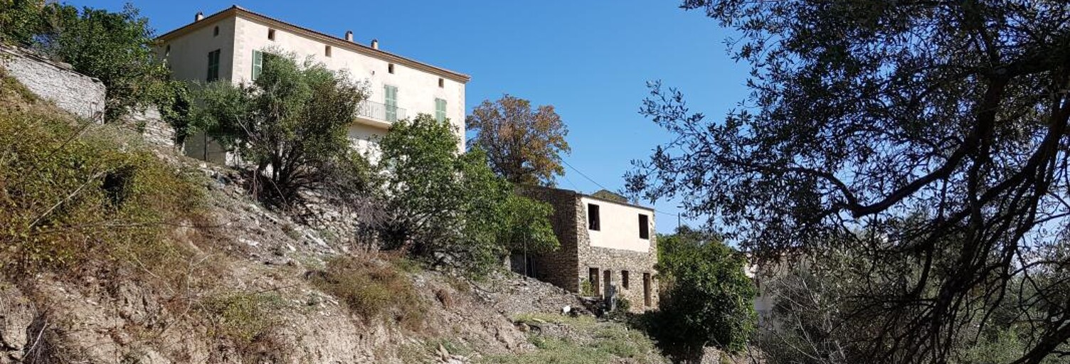 Maison 9 Pièces 230 m² à vendre à Santo-Pietro-di-Tenda (20246)