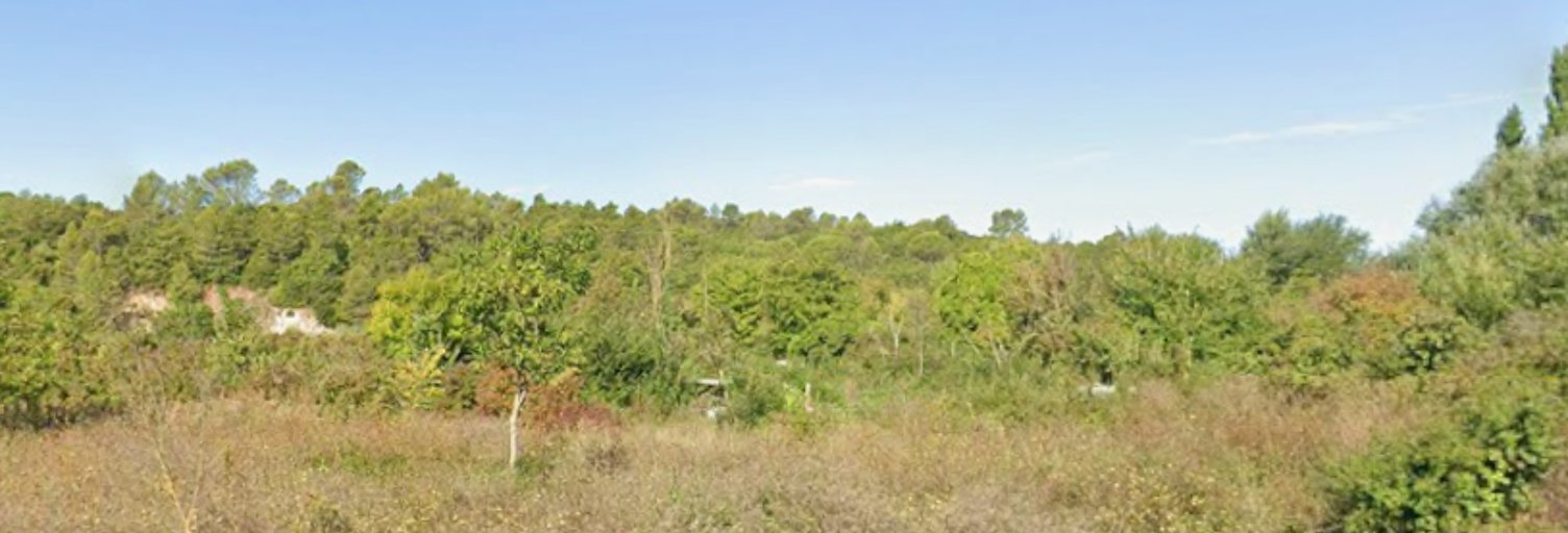 Terrain 1000 m² à construire Saint-Maximin-la-Sainte-Baume (83470)