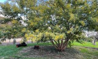 Terrain  450 m² à vendre à Osny (95520)