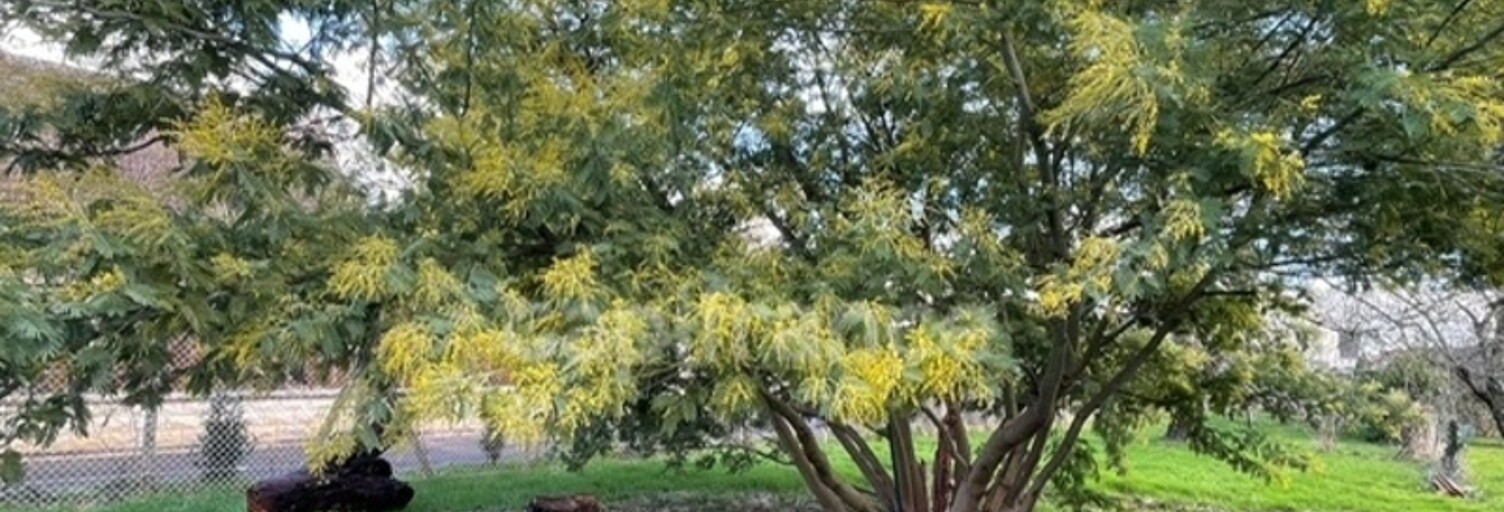 Terrain  450 m² à vendre à Osny (95520)