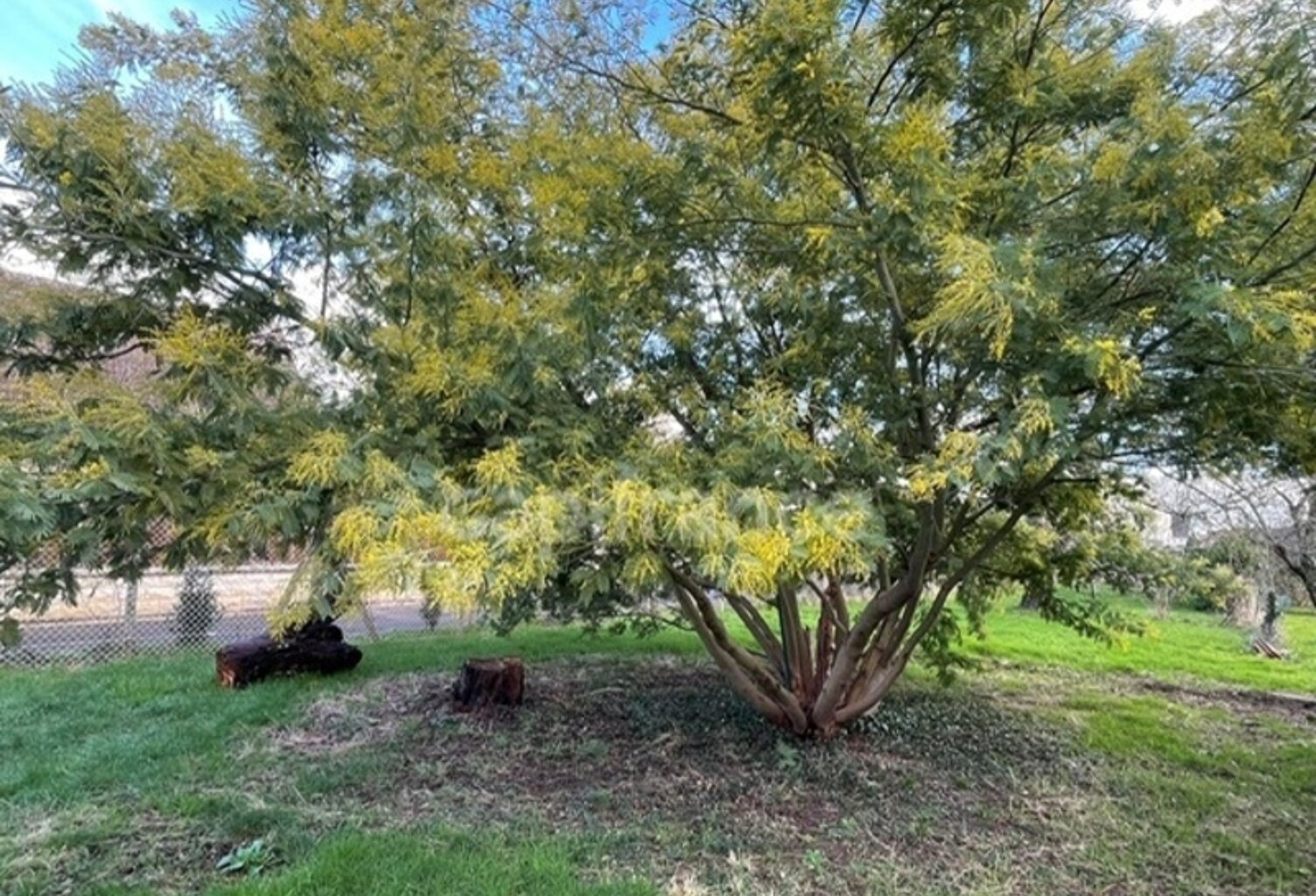 Terrain constructible de 450m2 à vendre  OSNY (95) — photo 1