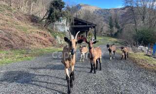 Maison 4 Pièces 89 m² à vendre à Viger (65100)