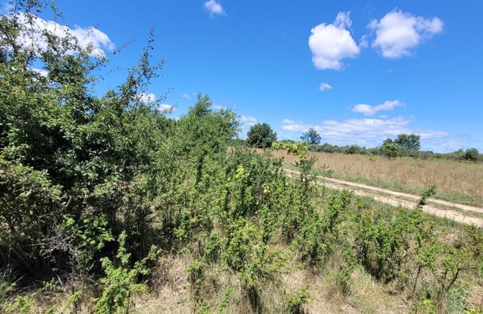 Allègres les Fumade (30) terrain à bâtir d'une superficie de 1075m2 environ — photo 2
