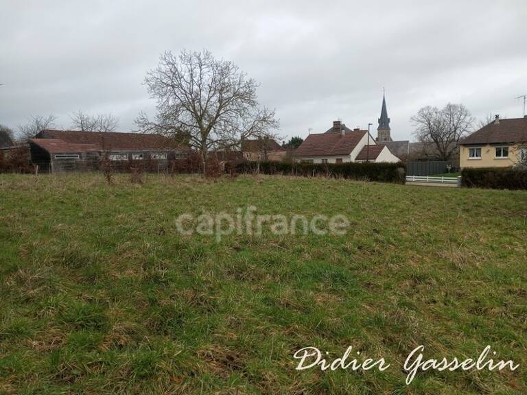 Terrain à vendre  SAINT HILAIRE SUR ERRE (61) — photo 1