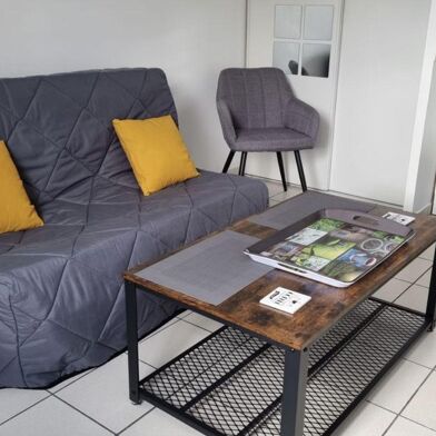 Appartement 1 pièces 490 €