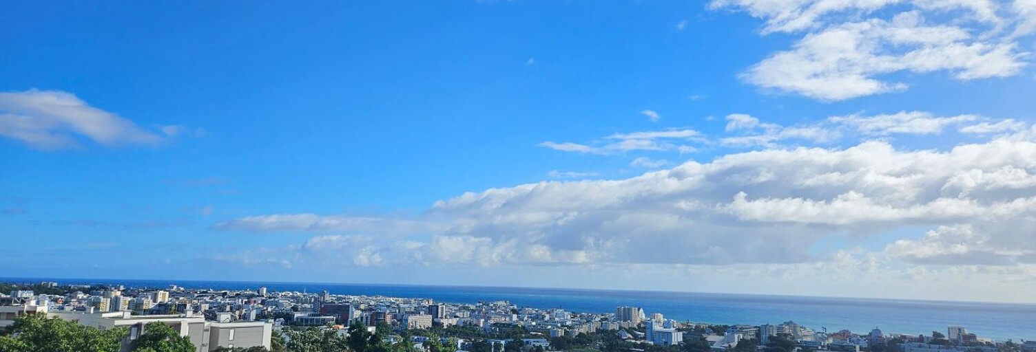 Appartement 1 Pièce 31 m² à vendre à Saint-Denis (97400)