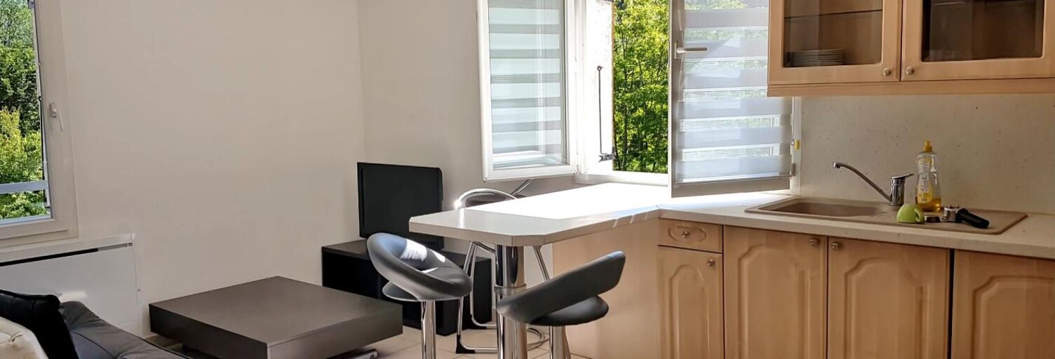 Appartement 1 Pièce 29 m² à louer à Allonzier-la-Caille (74350)