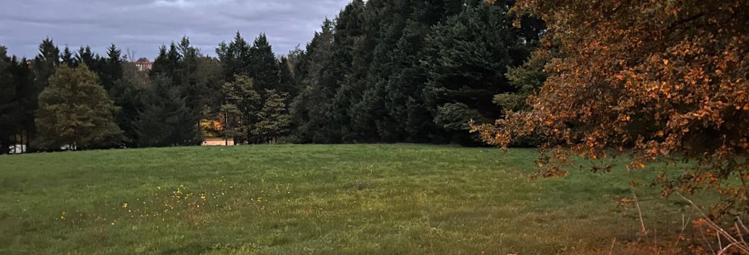 Terrain  8030 m² à vendre à Limoges (87000)