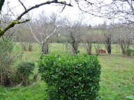 Maison dans un quartier calme — photo 2