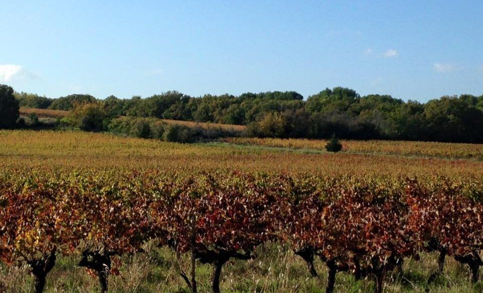 Agence immobilière de HESTI-HABITAT