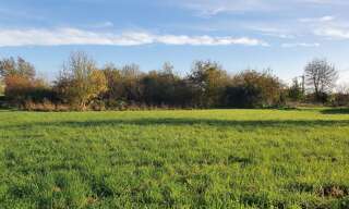 Terrain  10000 m² à vendre à Langon (33210)