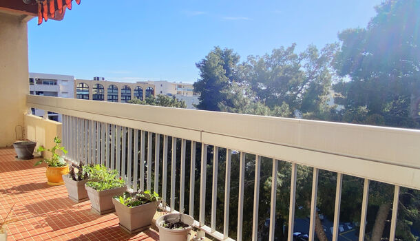 Appartement 4 pièces  à vendre Perpignan 66100