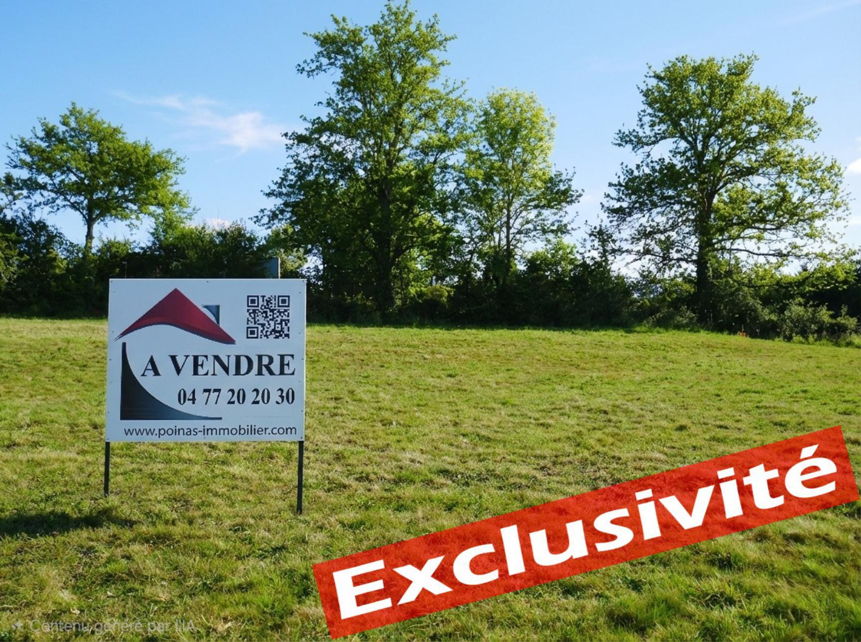 Photo Terrain Sainte-Sigolène