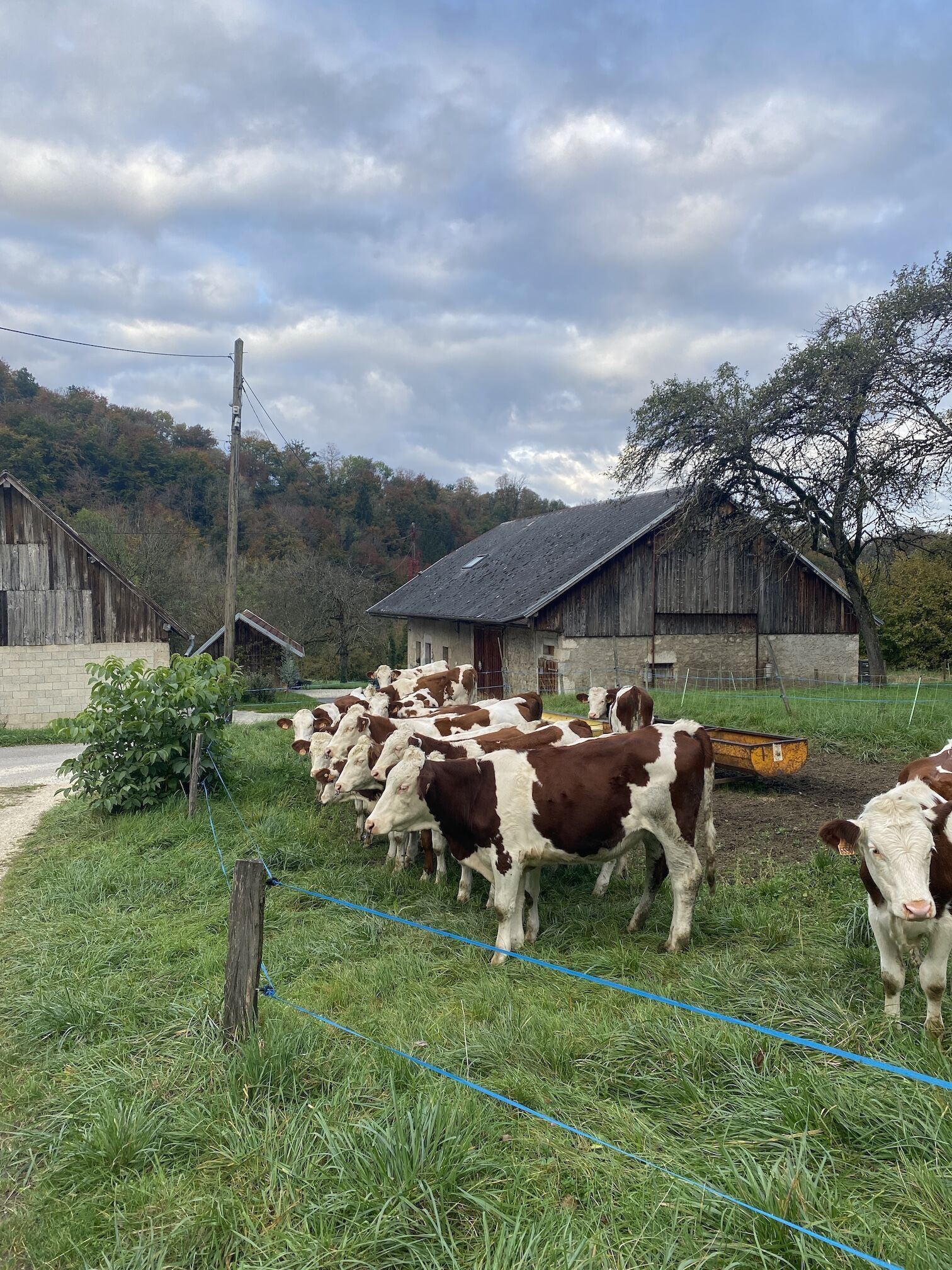 Agence immobilière de Mikit Bourgoin-Jallieu
