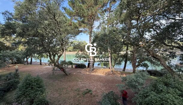 Appartement 5 pièces  à vendre Hossegor 40150