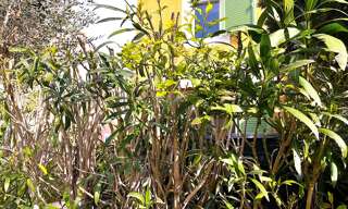 Appartement 3 Pièces 35 m² à vendre à La Londe-les-Maures (83250)