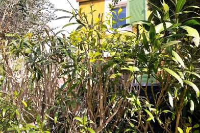 Appartement 3 pièces 336000 €