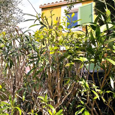 Appartement 3 pièces 336000 €