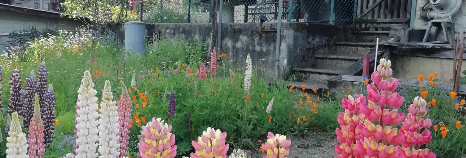 Maison   m² à vendre à Saint-Georges-d'Hurtières (73220)