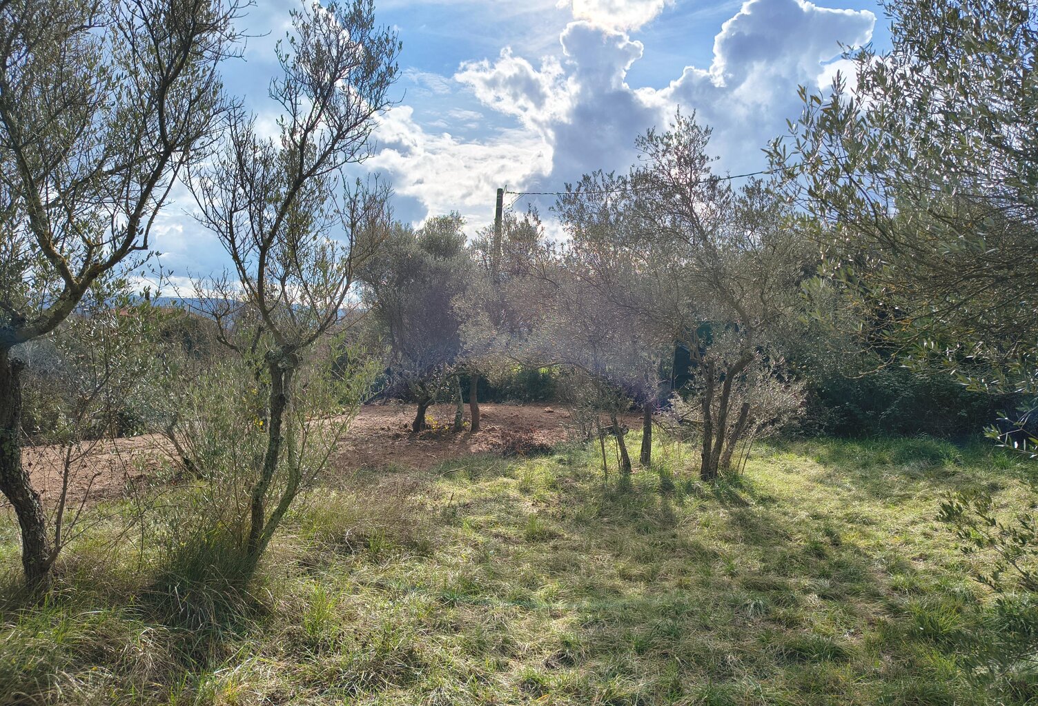Terrain à bâtir Cotignac  — photo 1