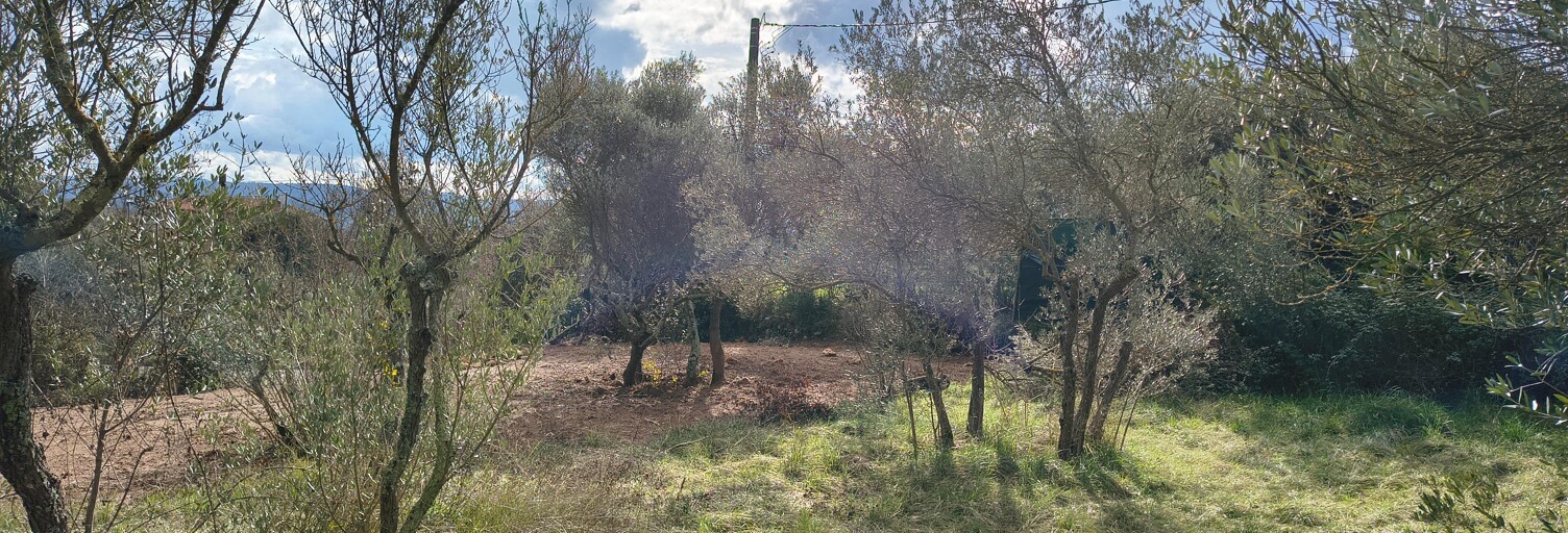 Terrain 2026 m² à construire Cotignac (83570)