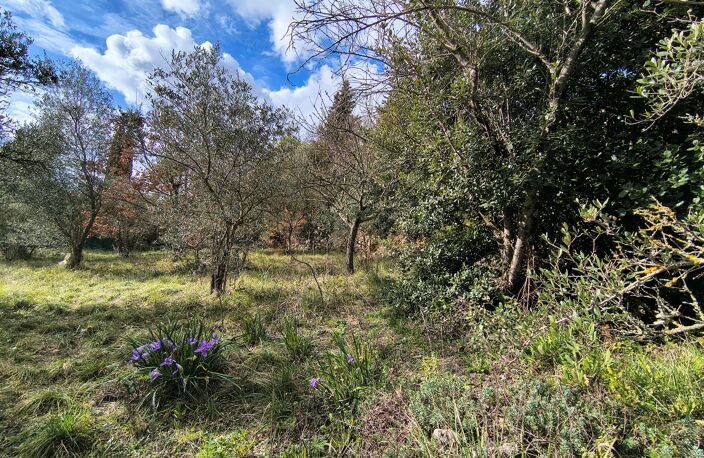 Terrain à bâtir Cotignac  — photo 2