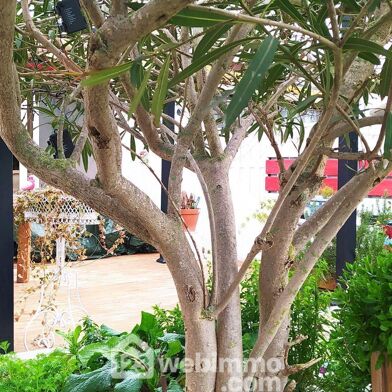 Appartement 3 pièces 260600 €