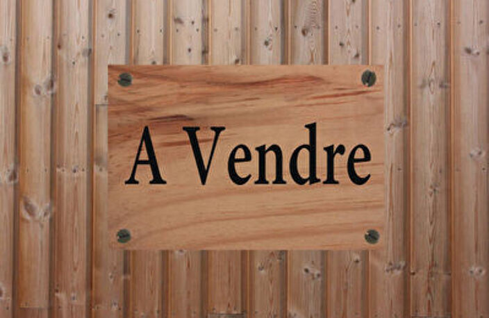 Investisseur, Centre commercial de 1500 m² et parking à IZON — photo 2