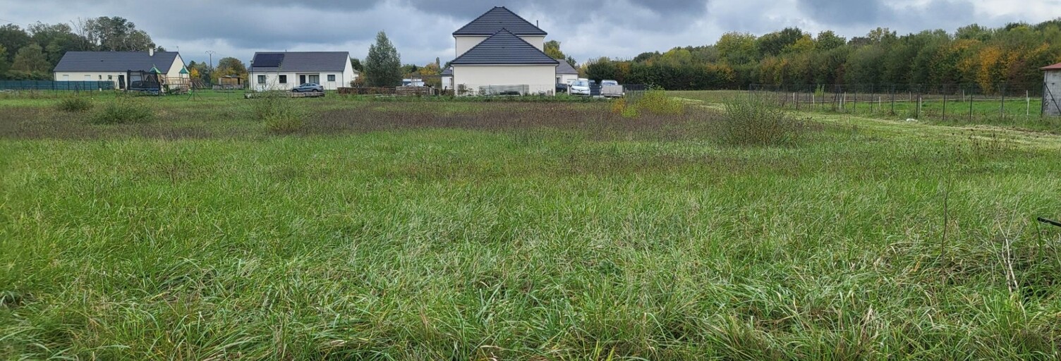 Terrain  1441 m² à vendre à La Cour-Marigny (45260)