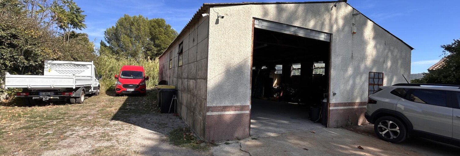Commerce 1 Pièce 150 m² à vendre à Montbazin (34560)