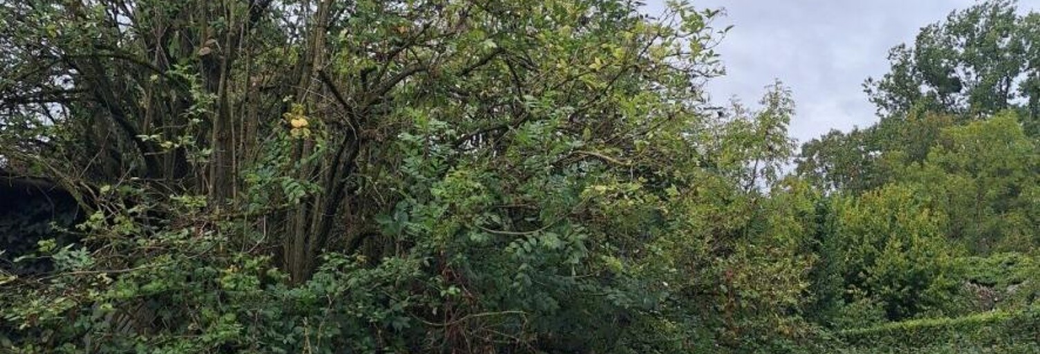 Terrain   m² à vendre à Embry (62990)