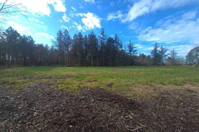 Terrain  92000 €
