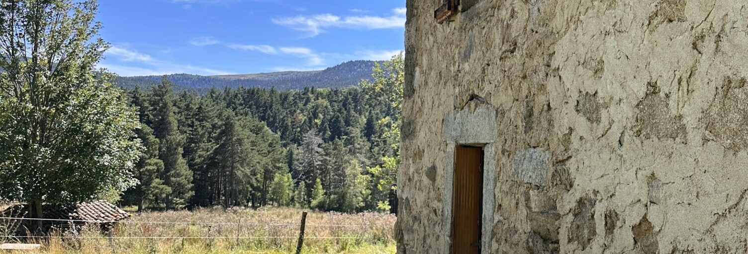 Maison 5 Pièces 124 m² à vendre à Chalmazel-Jeansagnière (42920)