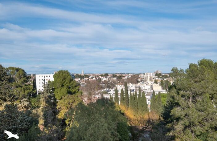 Appartement de 4 pièces principales — photo 2