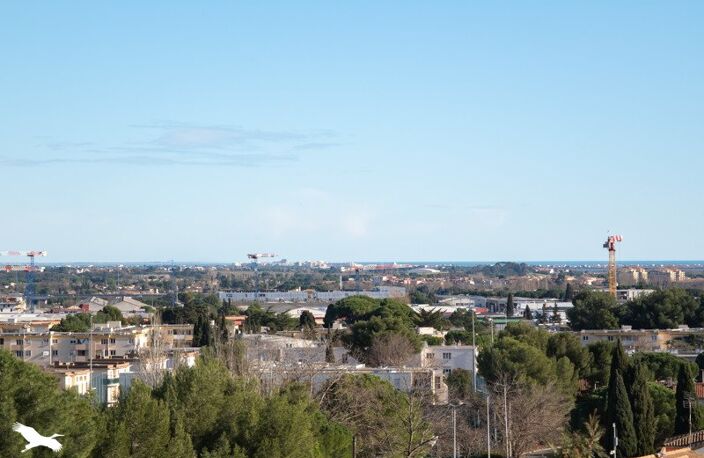 Vente appartement 4 pièces 67 m² Montpellier (34070) — photo 4