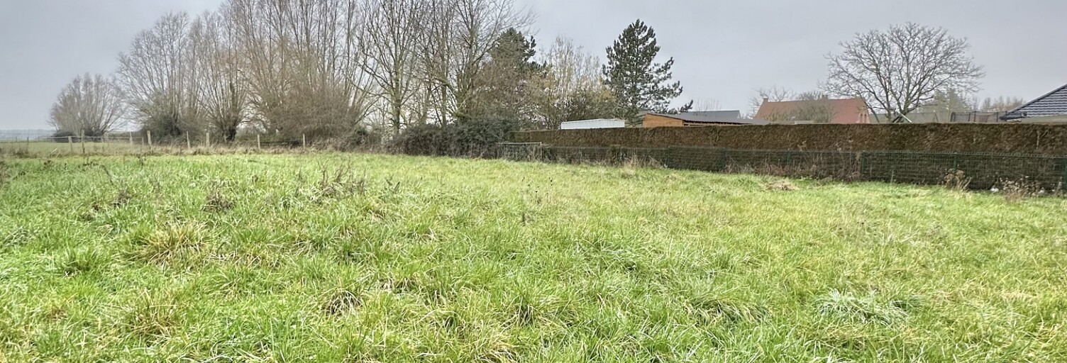 Terrain  746 m² à vendre à Boëseghem (59189)