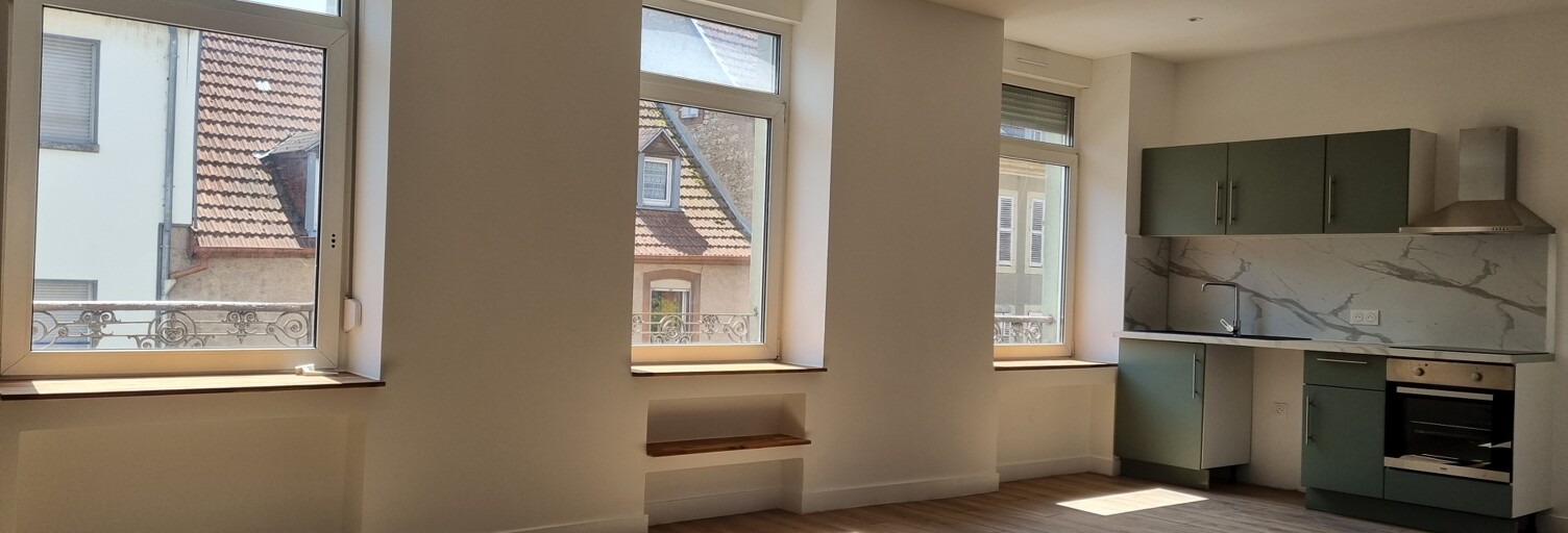 Appartement 2 Pièces 45 m² à vendre à Sarreguemines (57200)