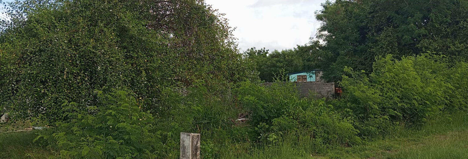 Terrain  540 m² à vendre à Anse-Bertrand (97121)