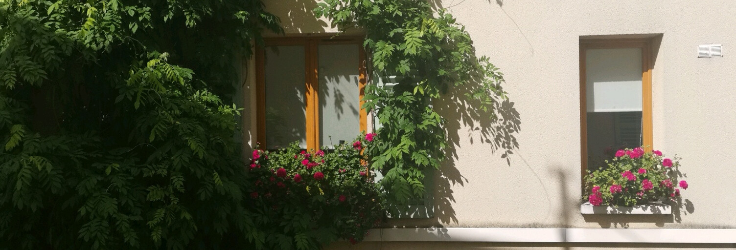 Appartement 2 Pièces 26 m² à louer à Châtillon (92320)