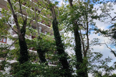 Appartement 4 pièces 400000 €