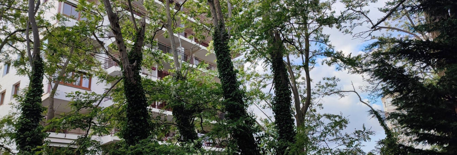 Appartement 4 Pièces 81 m² à vendre à Clamart (92140)