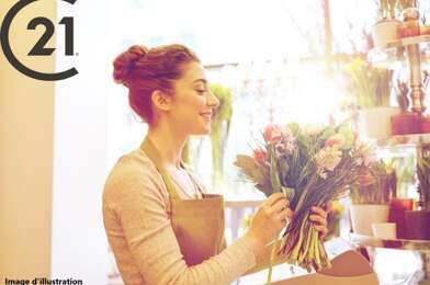 Commerce  418800 €