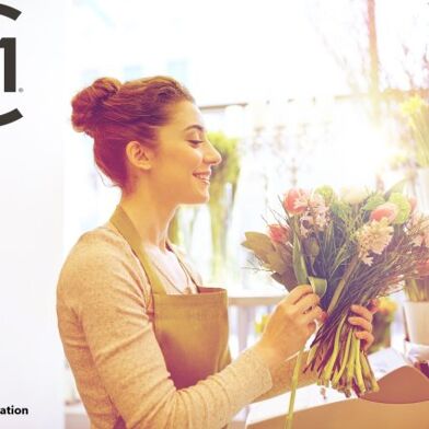 Commerce  418800 €