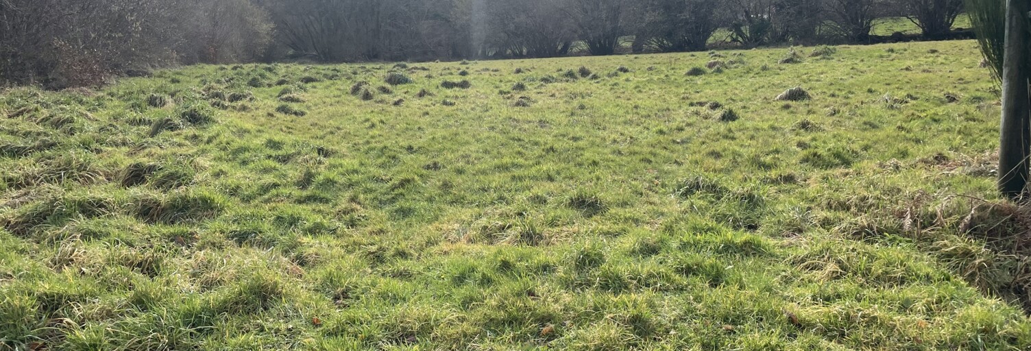 Terrain  4691 m² à vendre à Le Vieux-Marché (22420)